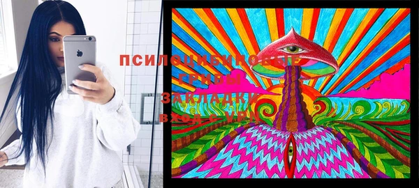 мяу мяу кристалл Алексин