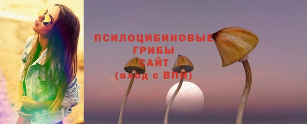 сатива Алексеевка