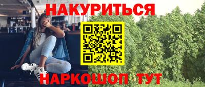 крисы Кандалакша