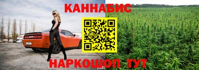 крисы Кандалакша